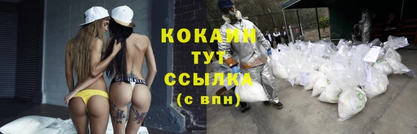 твердый Богородицк