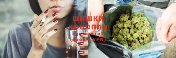 mdpv Богородск