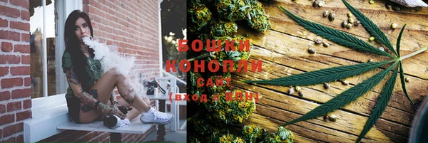mdpv Богородск