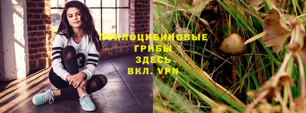 мдма Богданович