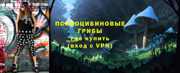 твердый Богородицк