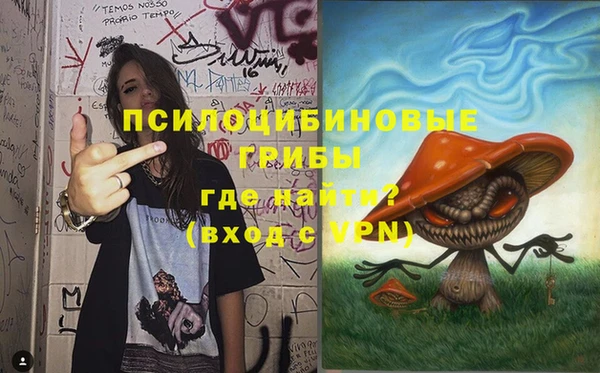 мдма Богданович