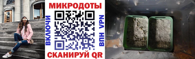Галлюциногенные грибы Psilocybine cubensis  Комсомольск-на-Амуре 